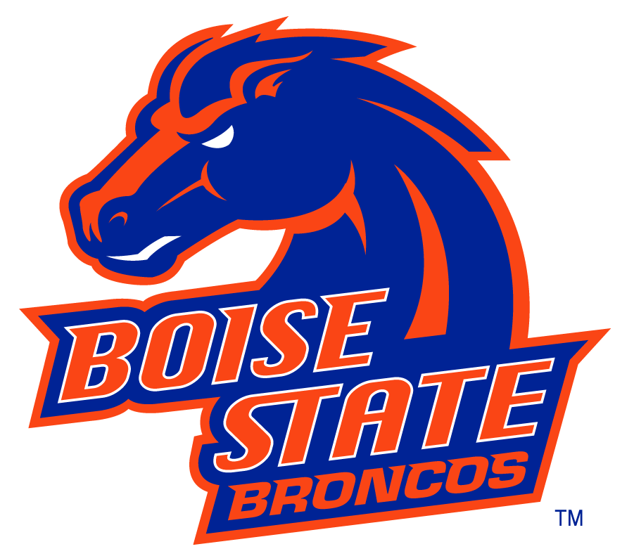 Boise State Broncos 2002-2012 Secondary Logo v24 t shirts iron on transfers